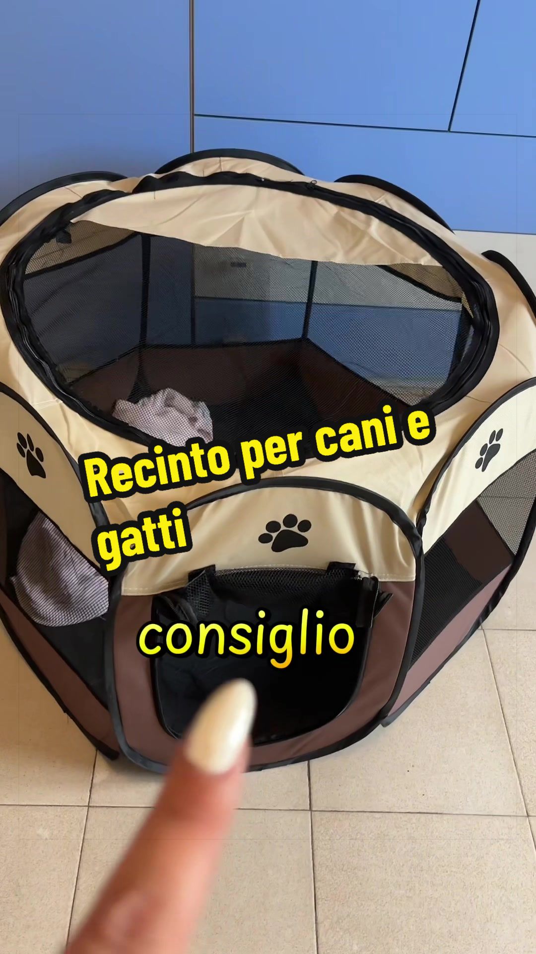 @⭐️Debora Cimino⭐️
