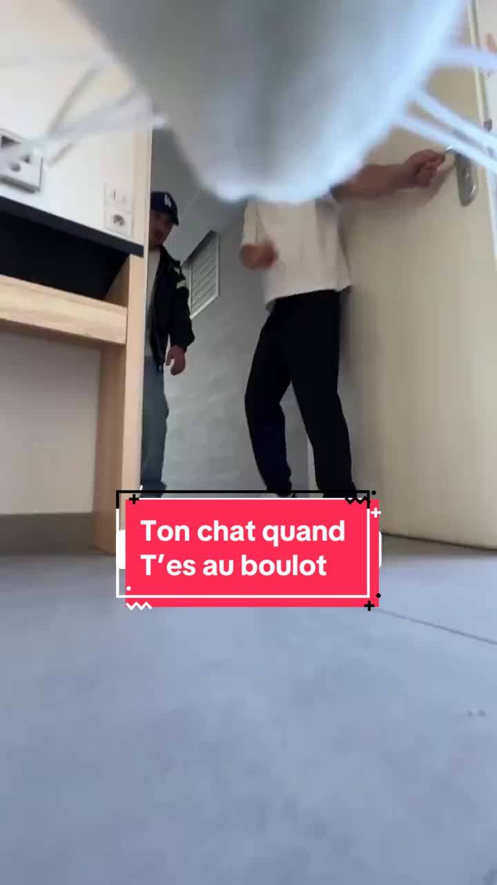 @idiocrate_
