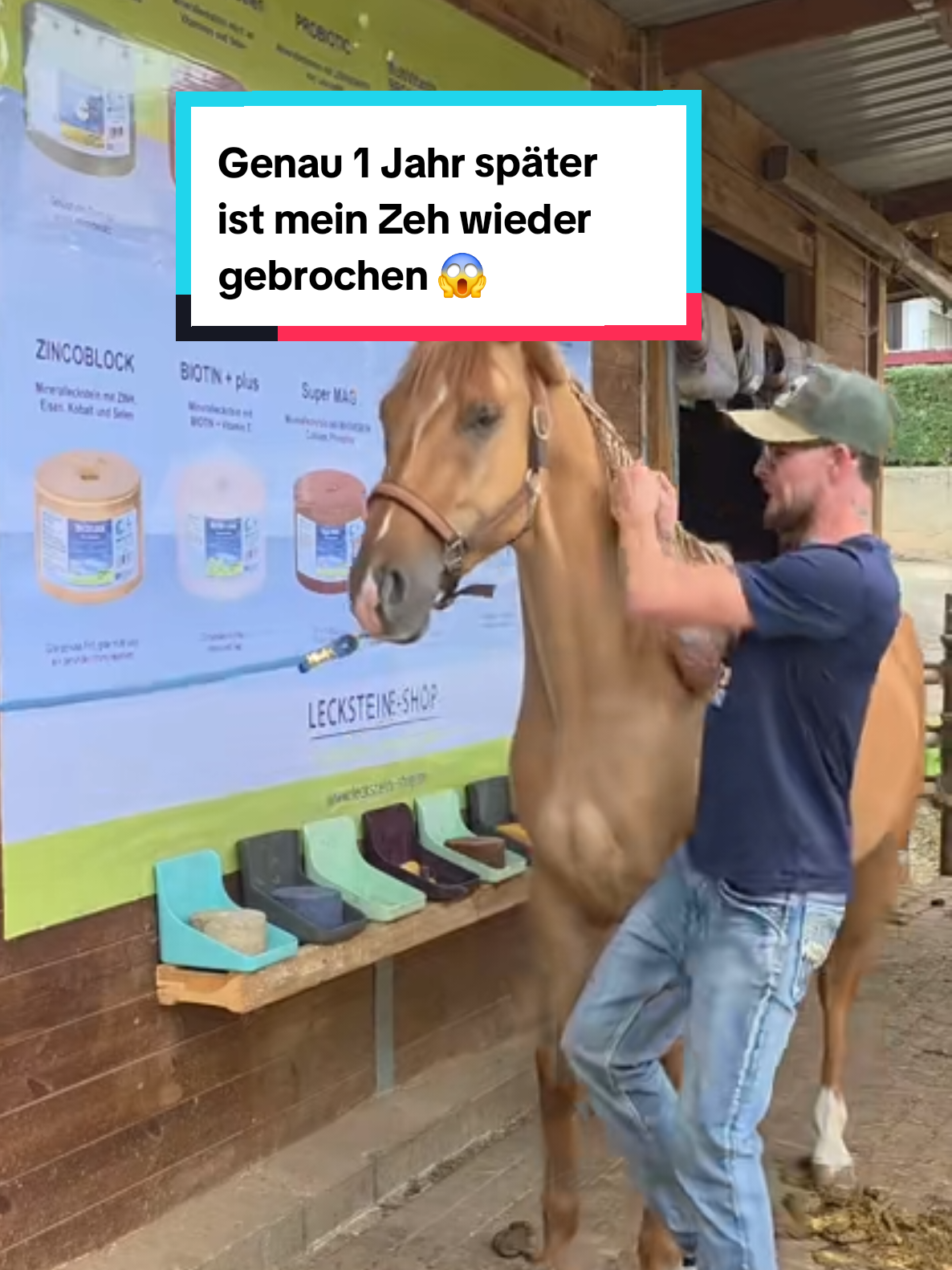 @🤠 Cowboy.HDH