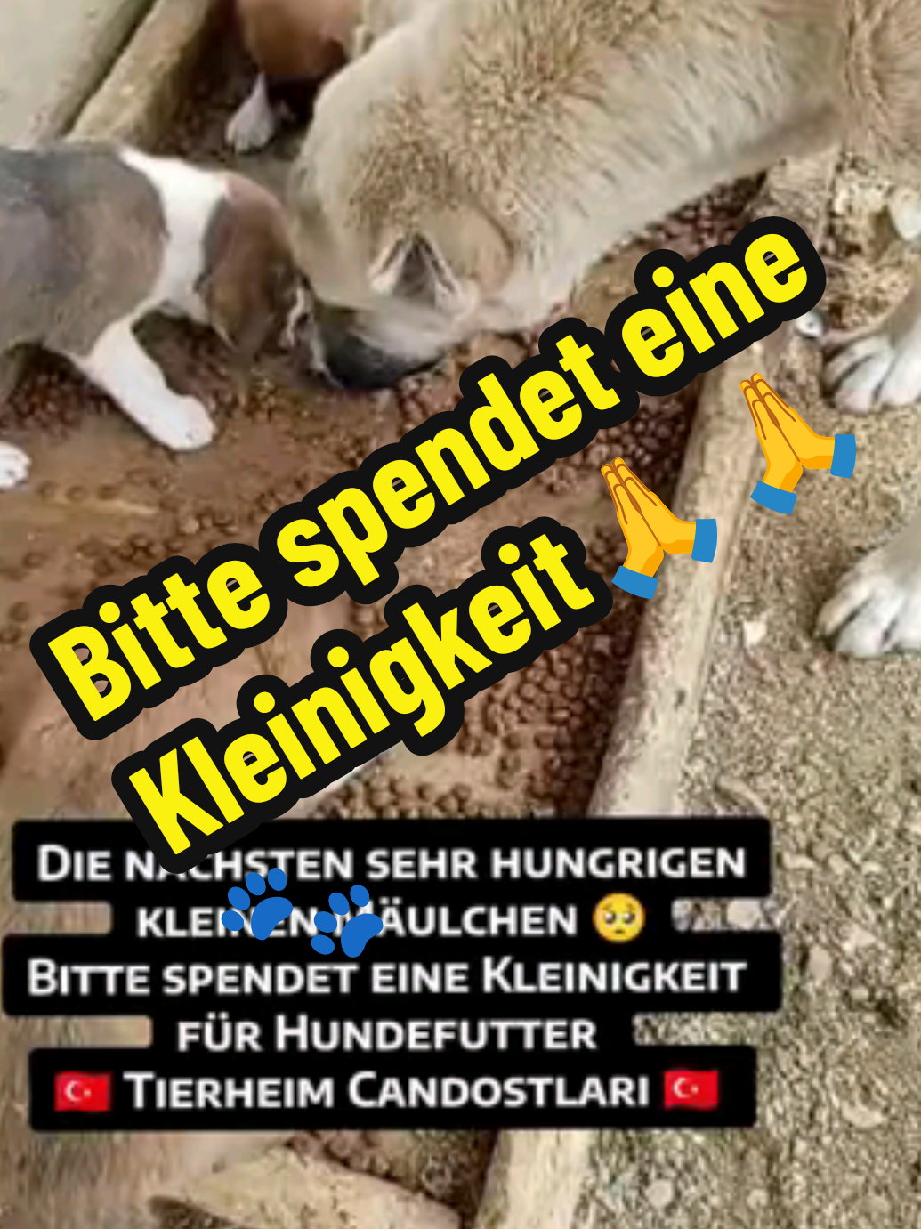 @TSV Candostlari-Beste Freunde
