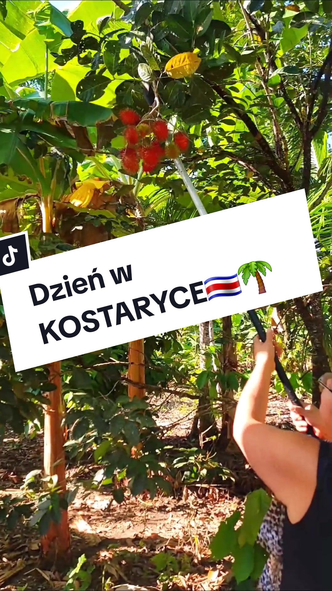 @vegemichy•proste przepisy