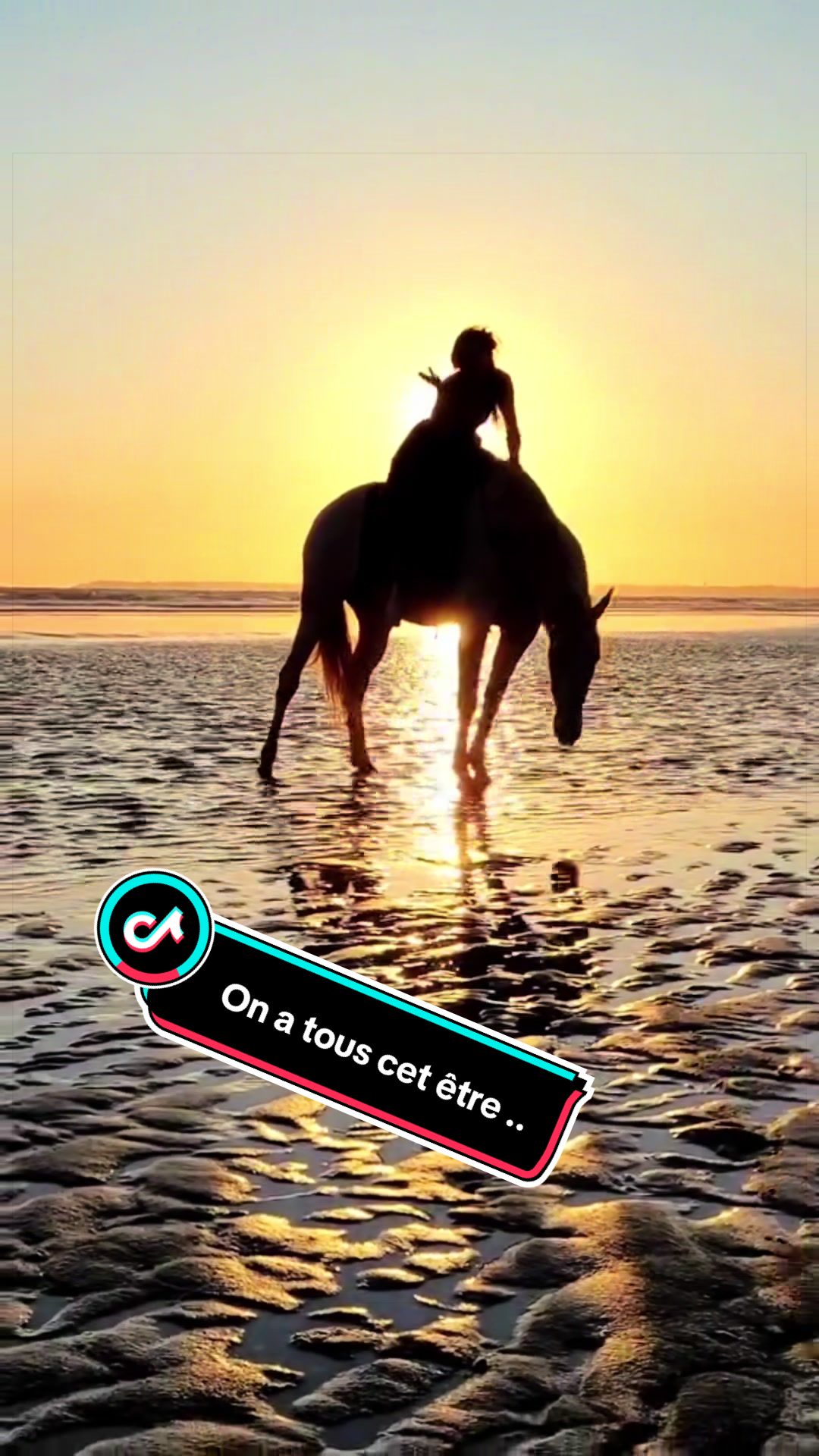 @chabzh58_sdlm