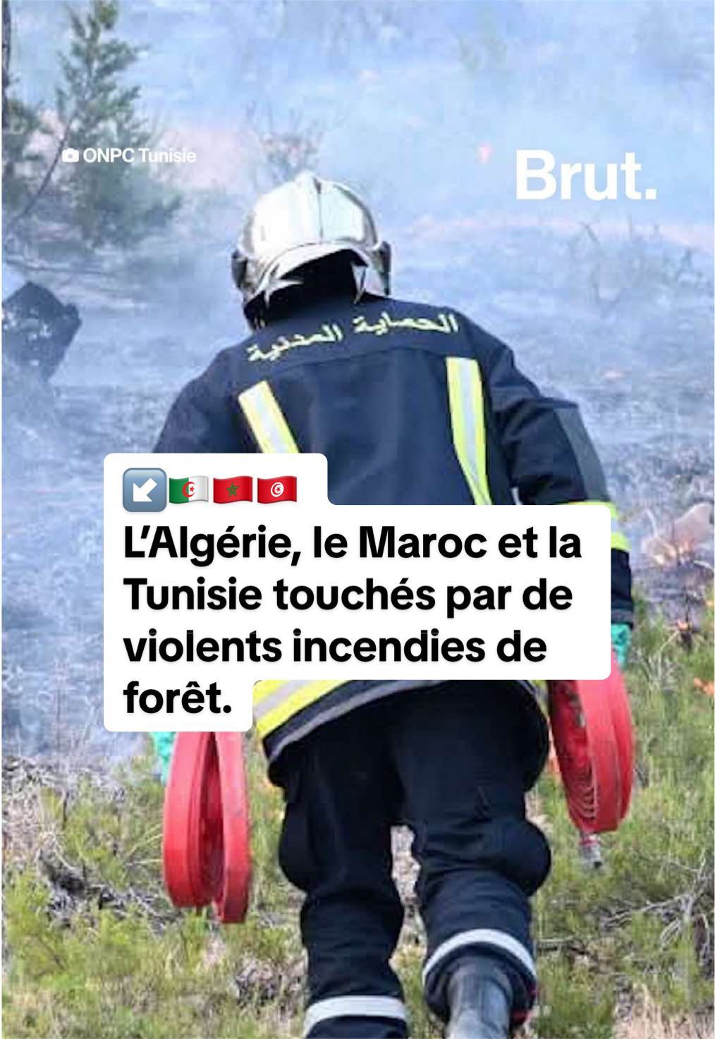 @Brut Afrique