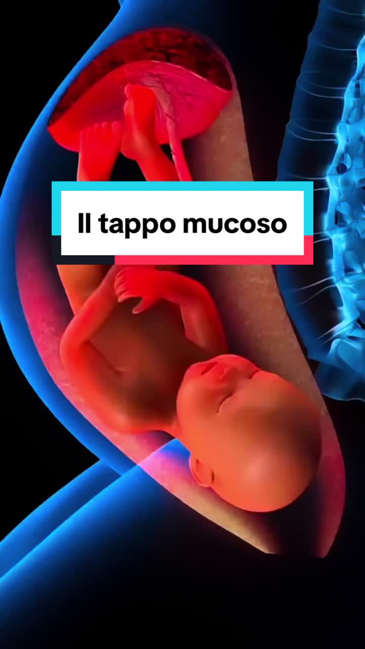 @Dr.gabrielesaccone