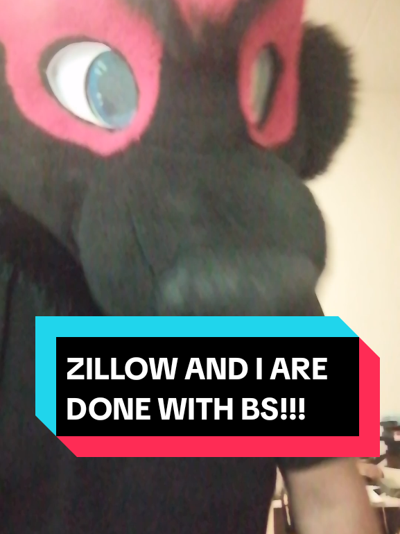 @Hikaji The Husky