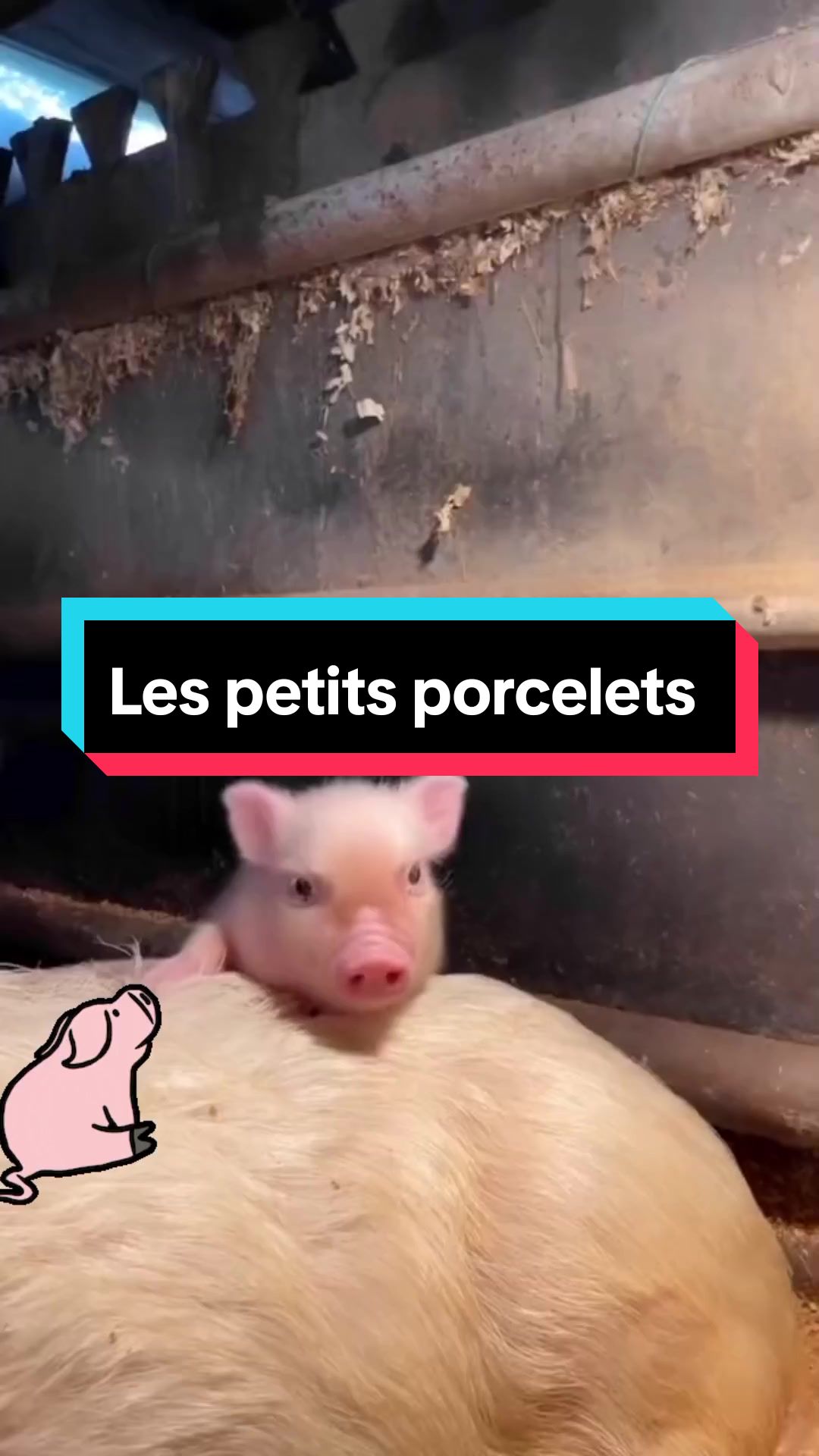 @𝑺𝒕𝒆𝒑𝒉 ✨