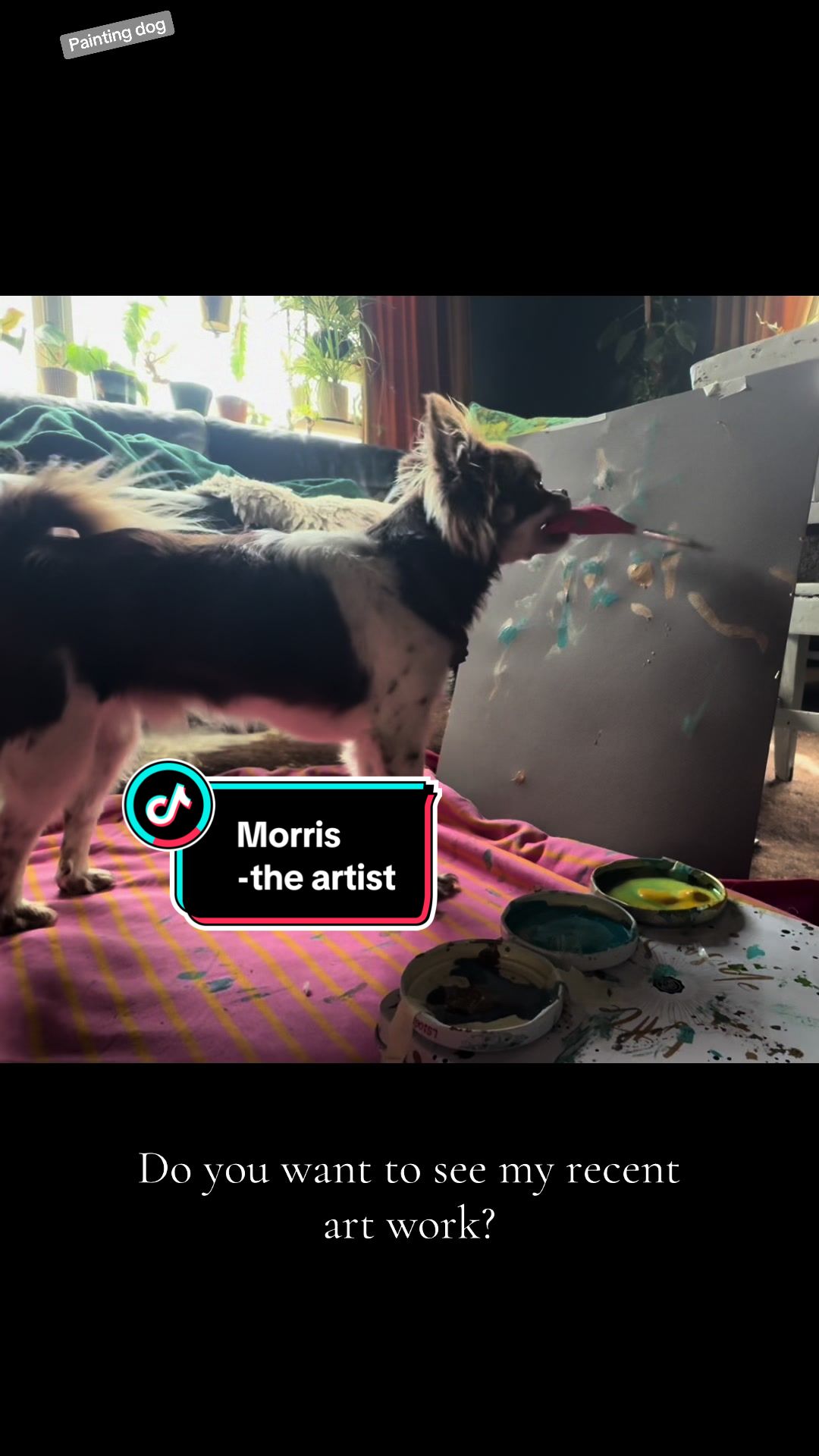 @MorrisMiniDog