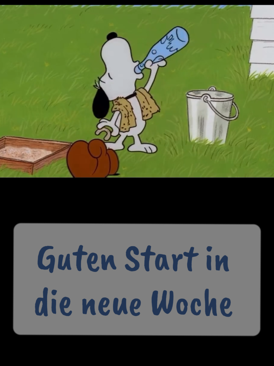 @zahnzaubermaeuschen