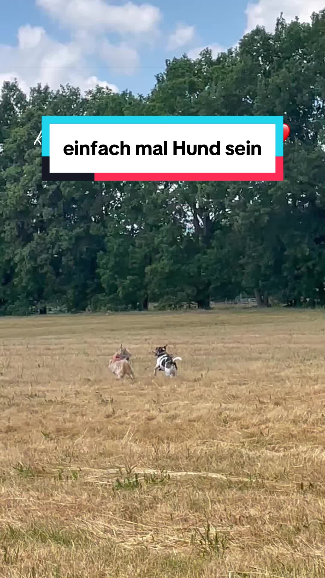 @Rocky und ich