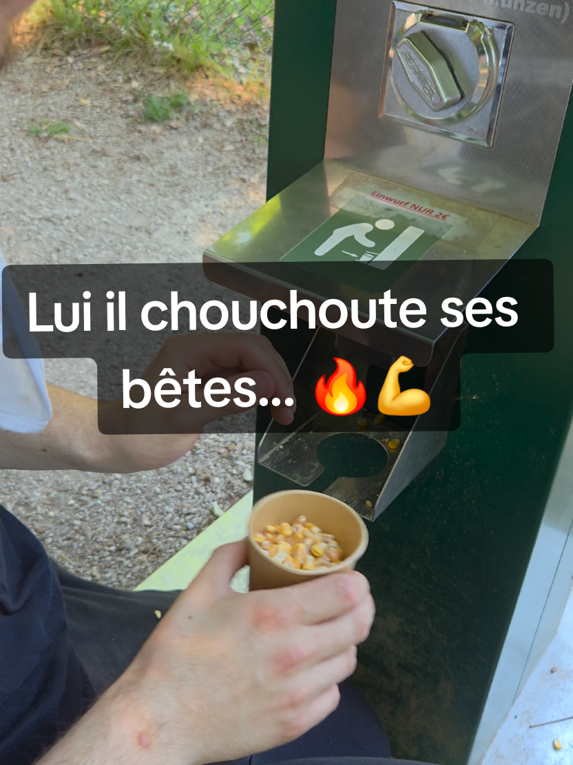 @🌍 Bon Vivant  🇨🇵
