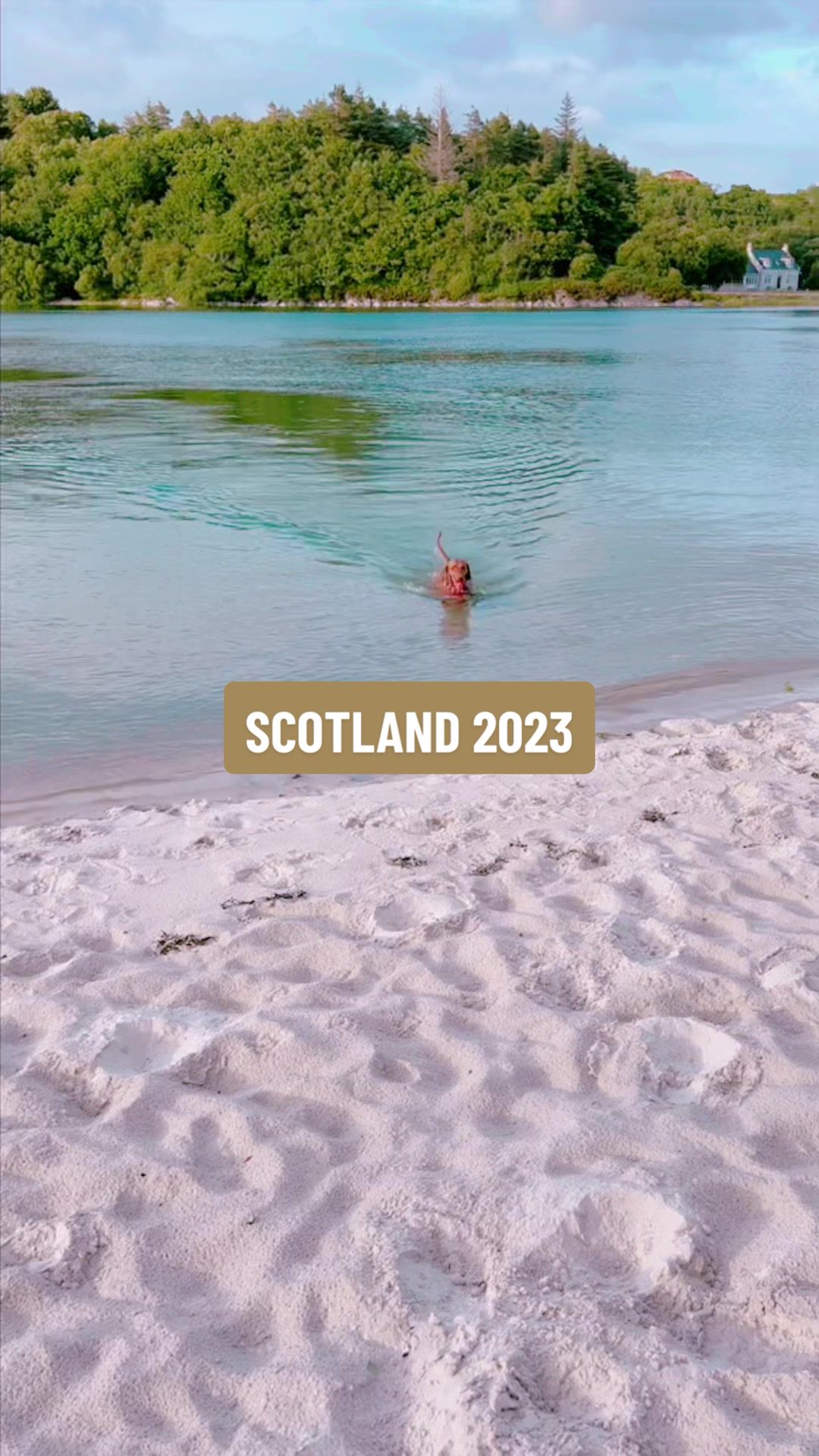 @junoandcocumbria