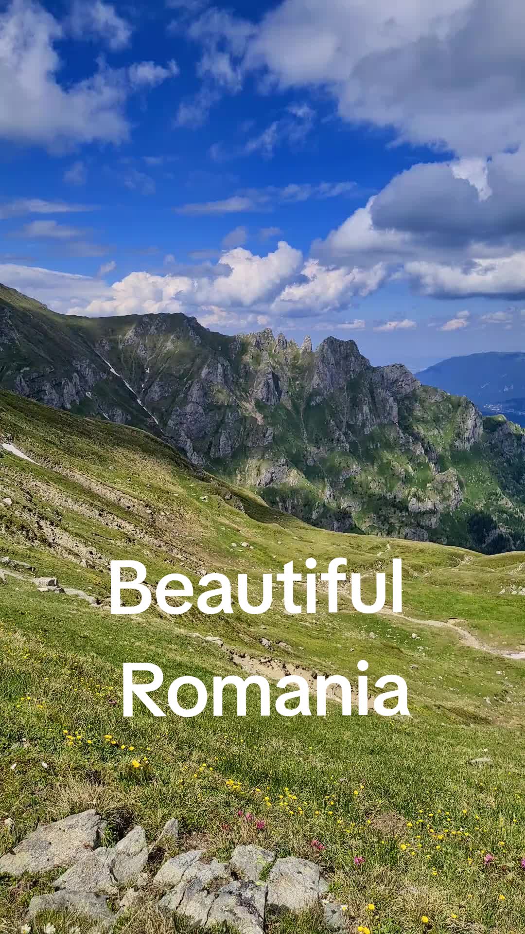 @Alexandra