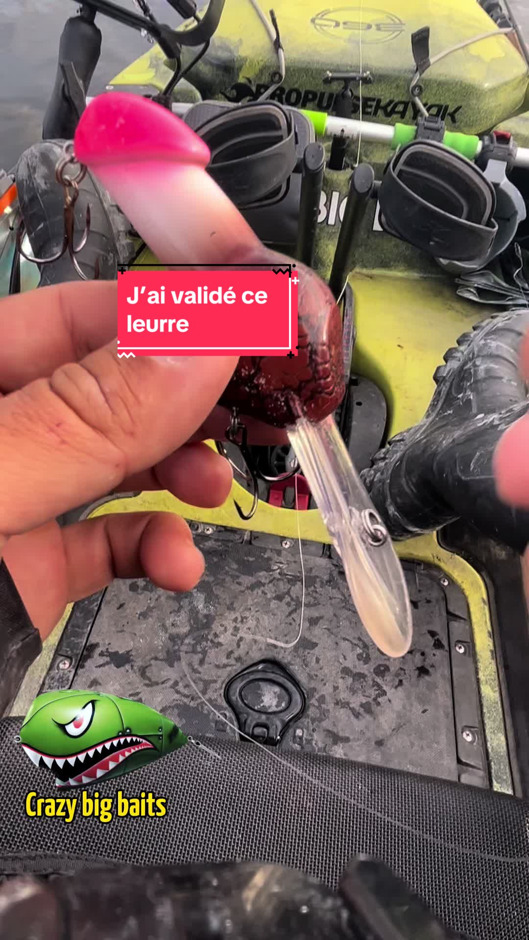@crazybigbaits