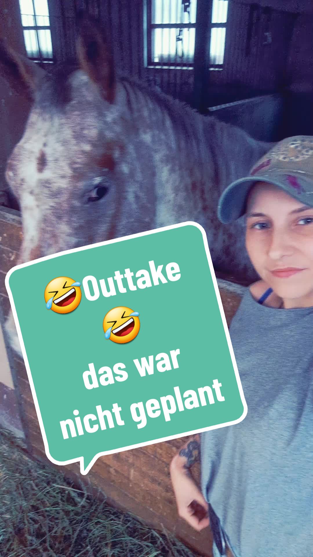 @Farbklecks Pferde