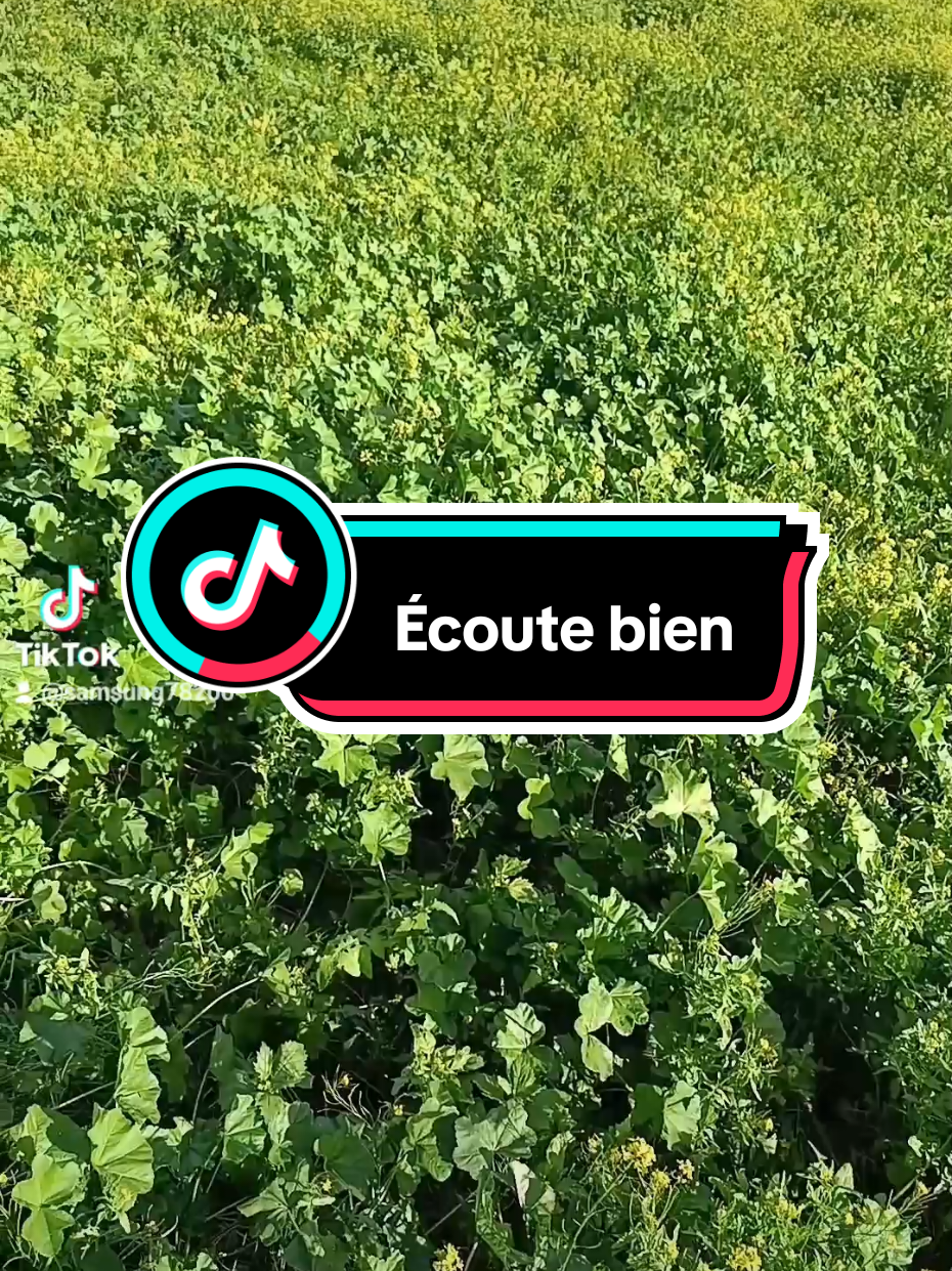 @Bouba🇲🇦مغربي