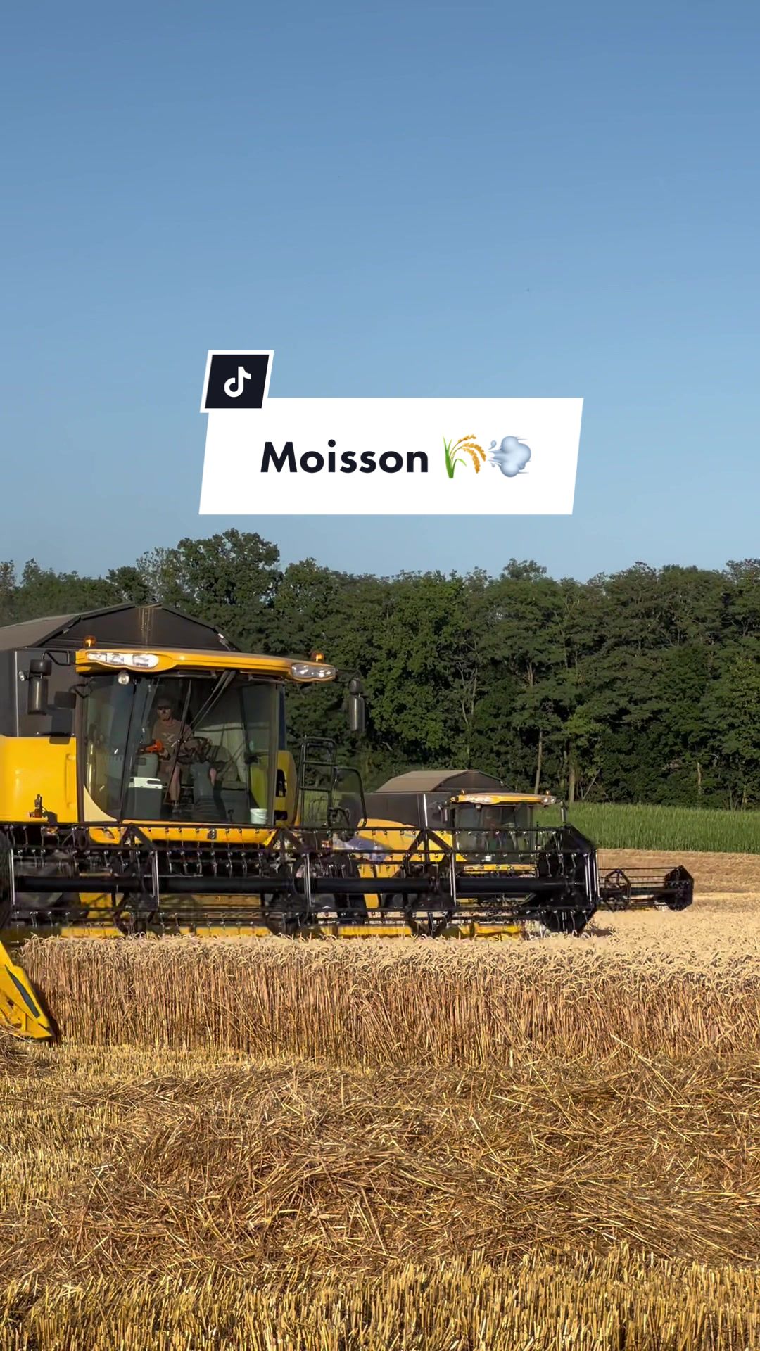 @AgriSuisse