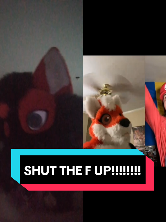 @Hikaji The Husky