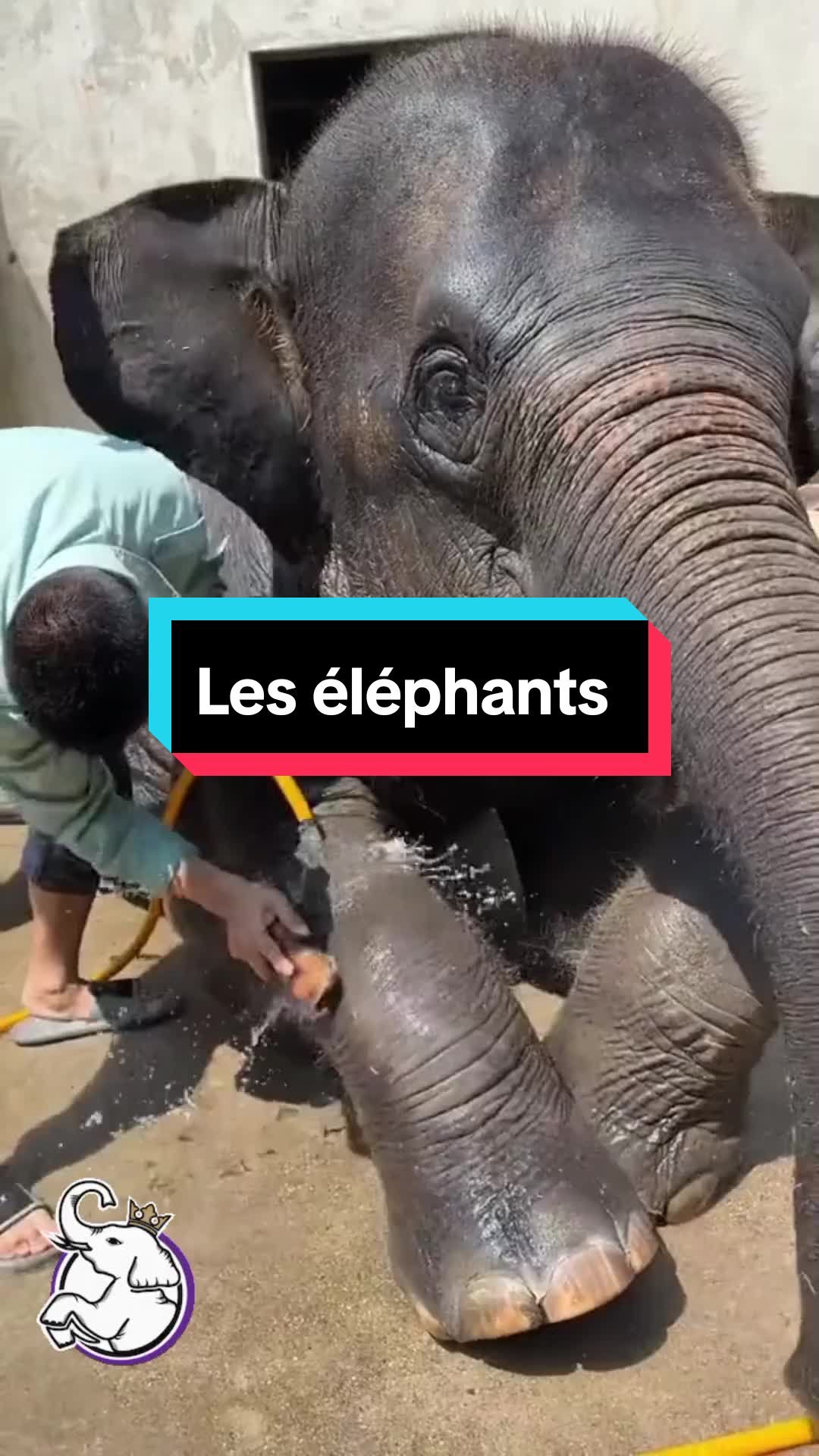 @𝑺𝒕𝒆𝒑𝒉 ✨