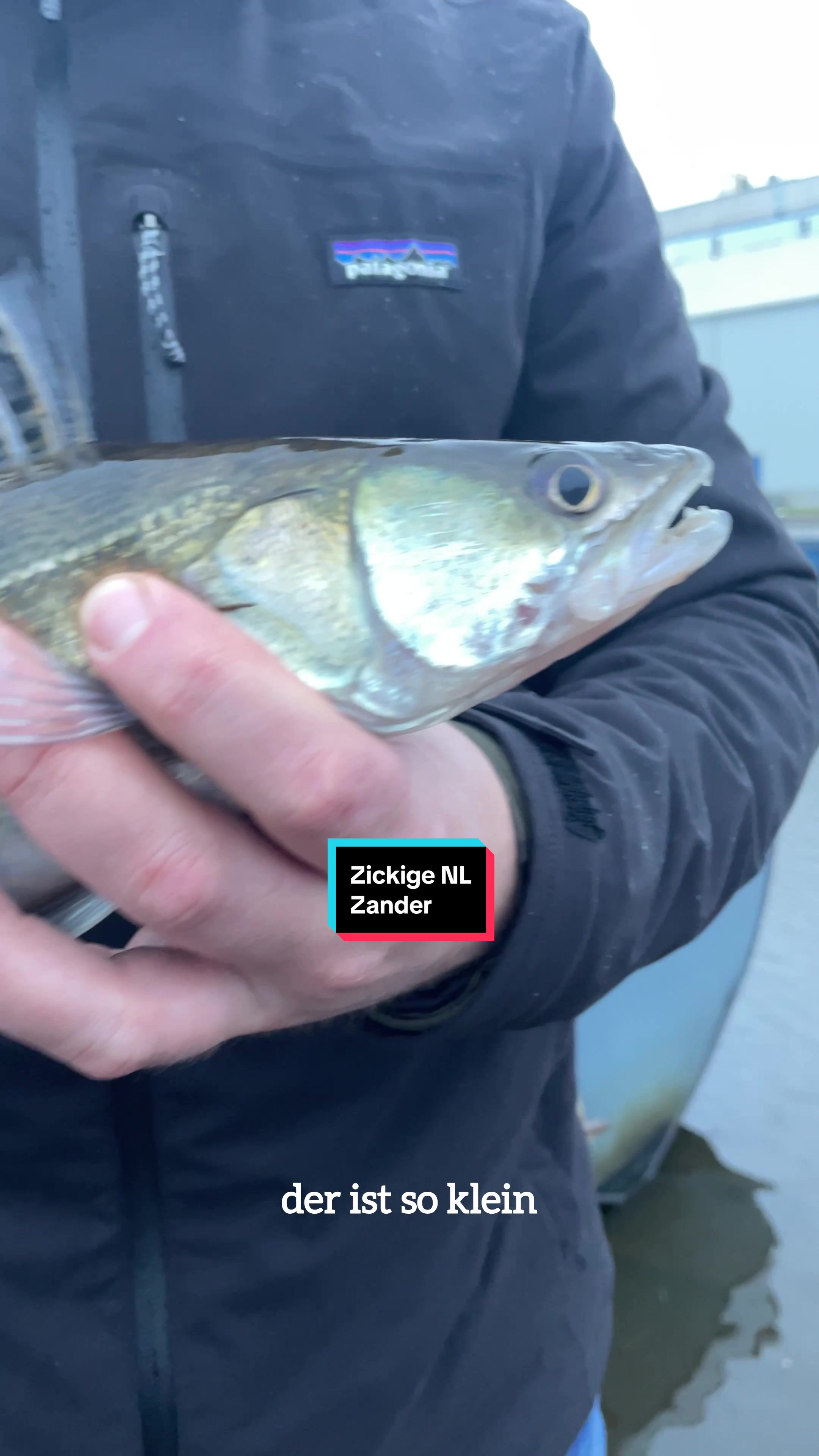 @NØMIS Fishing