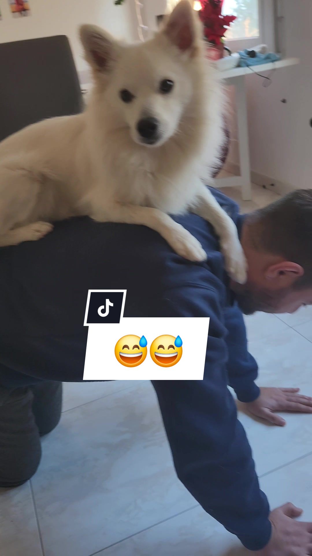 @TheWhitePrince👑
