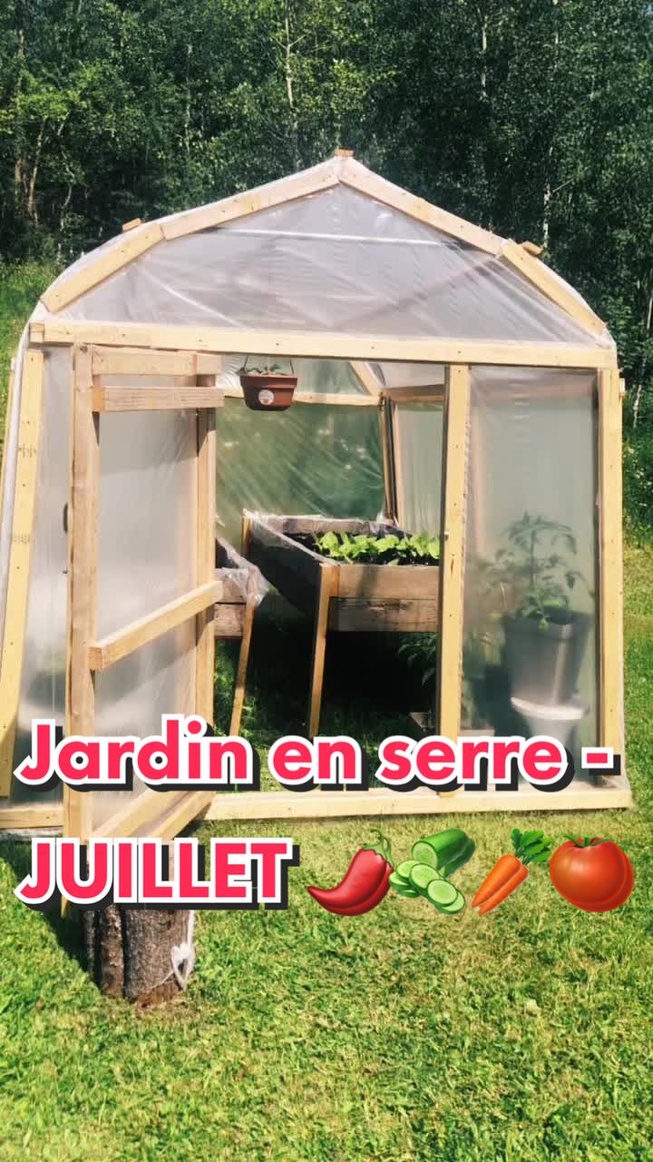 @Papilleselectriques