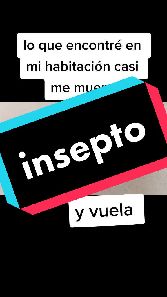 @luz