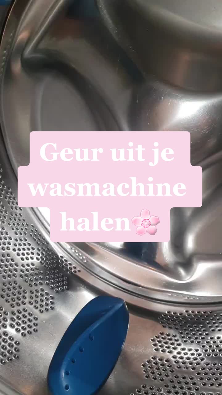 @Rotterdamse.poetsQueen