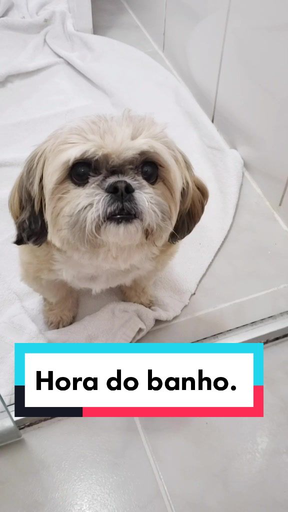 @Mel Spacemoon 🐶🐾