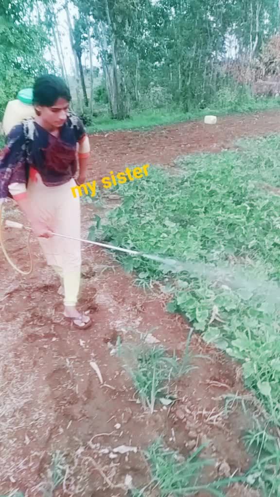 @bhai bahan