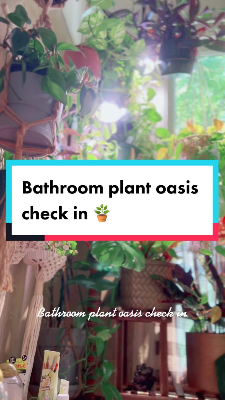 @Island_Plant_Mama