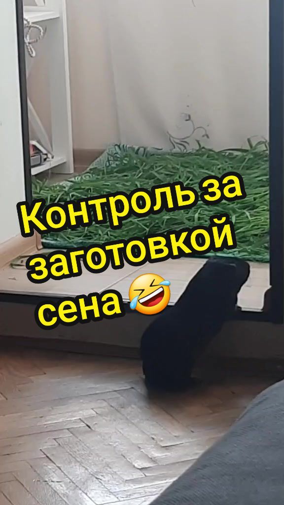 @МАТЬ ДРАКОНІВ🤣