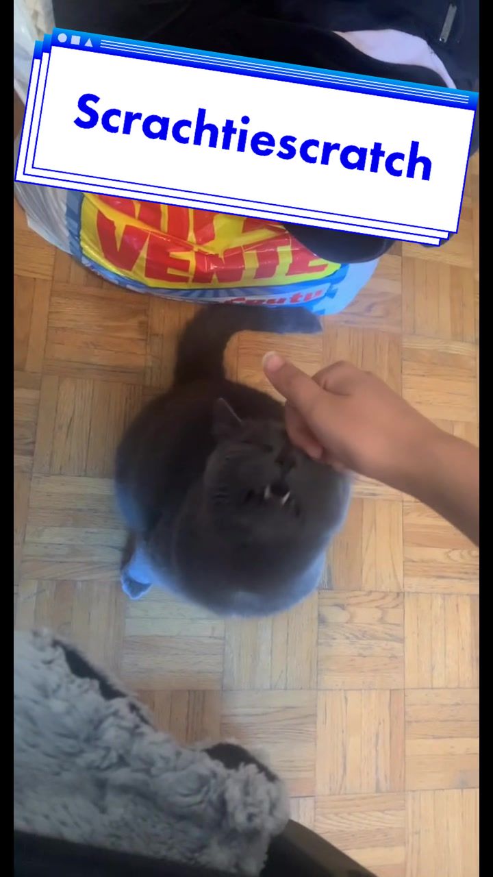 @miawpurrr