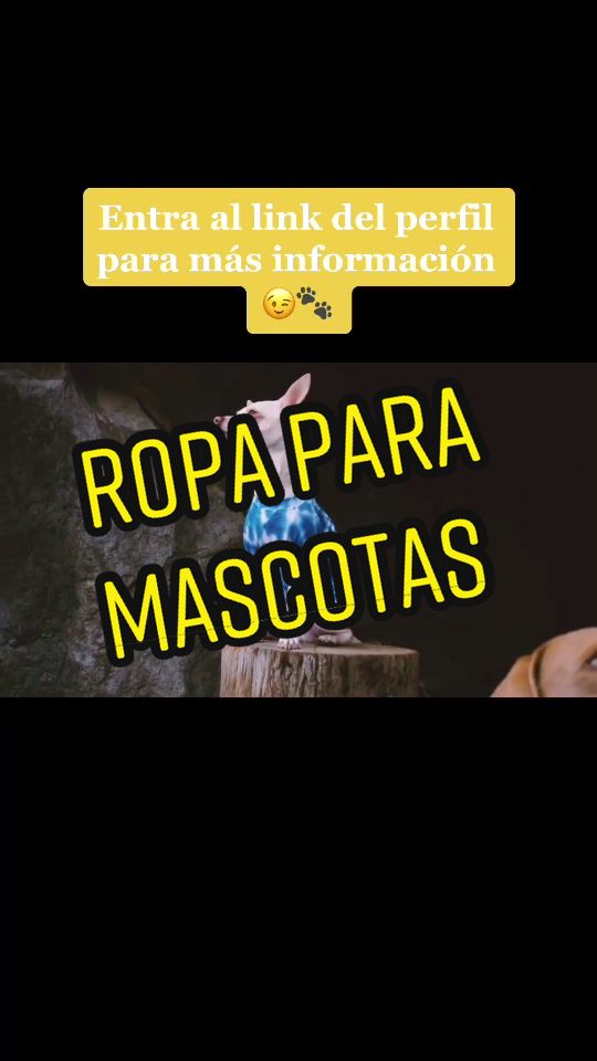 @Mascotas Fashion