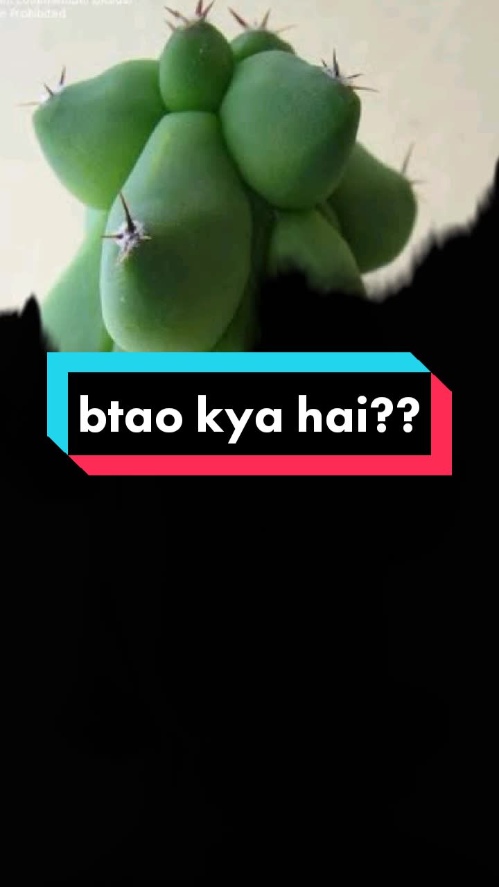 @Ashish Yadav