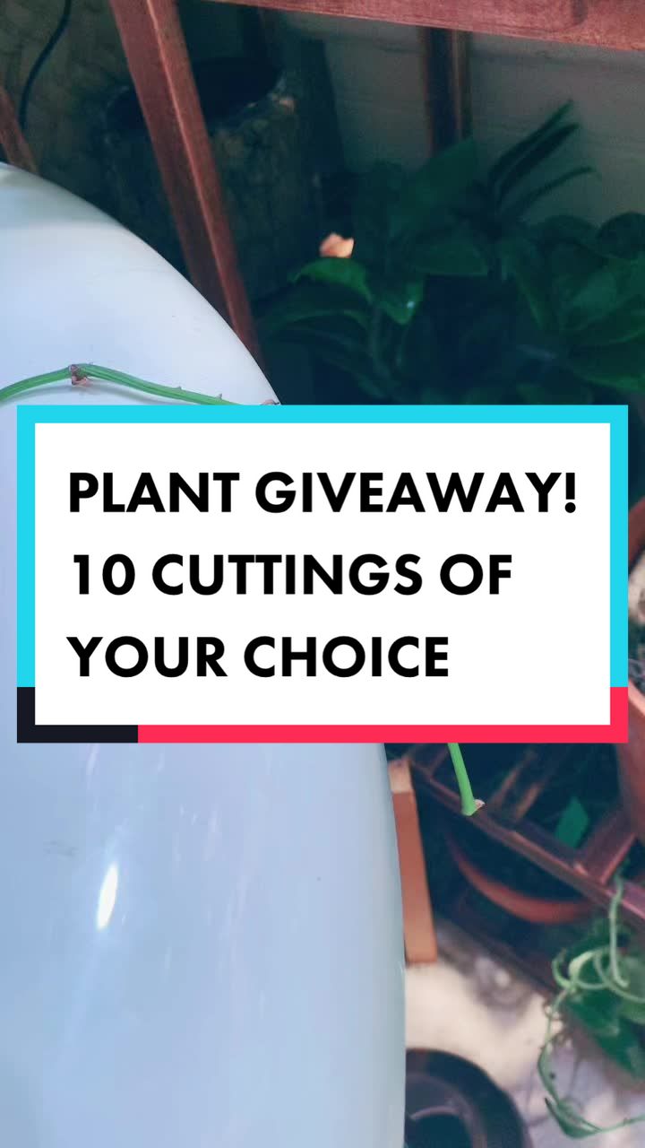 @Island_Plant_Mama