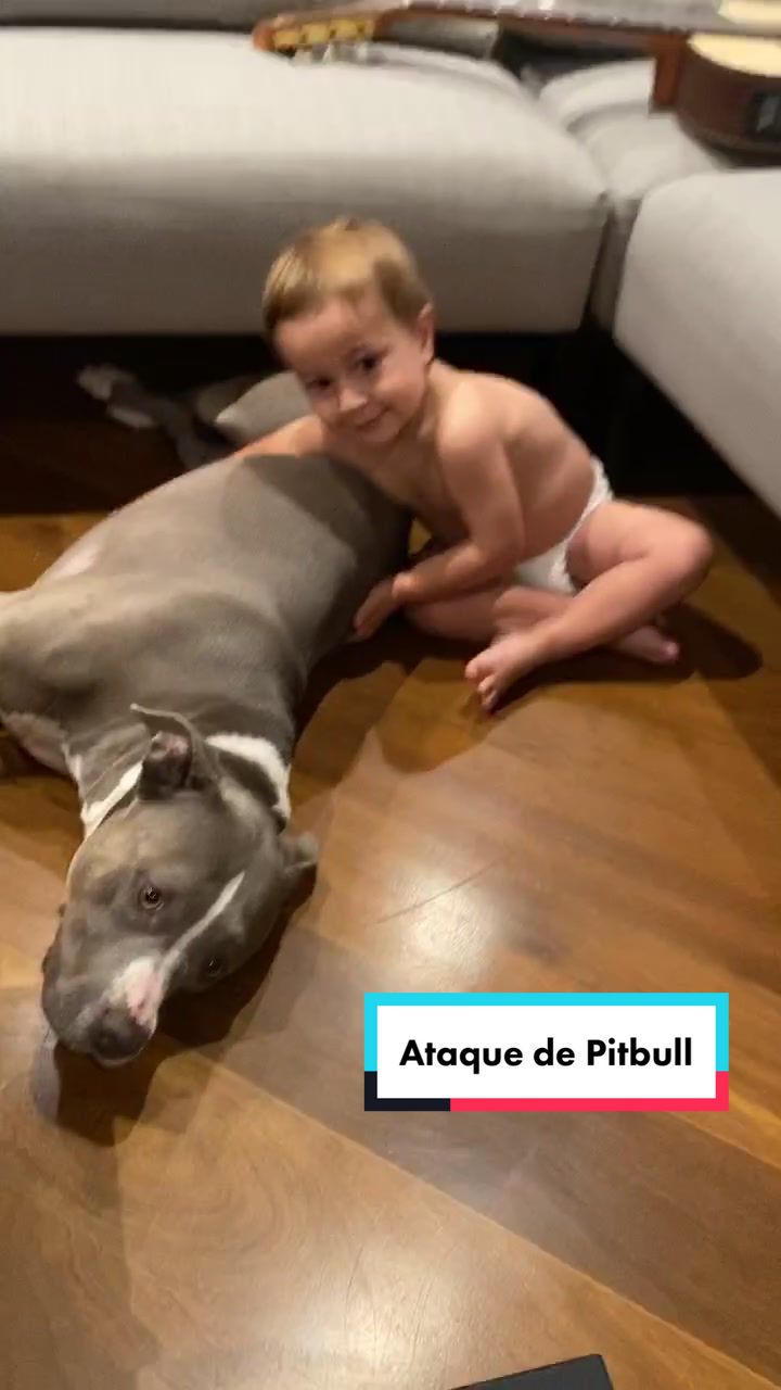 @João Vitor Maldonado