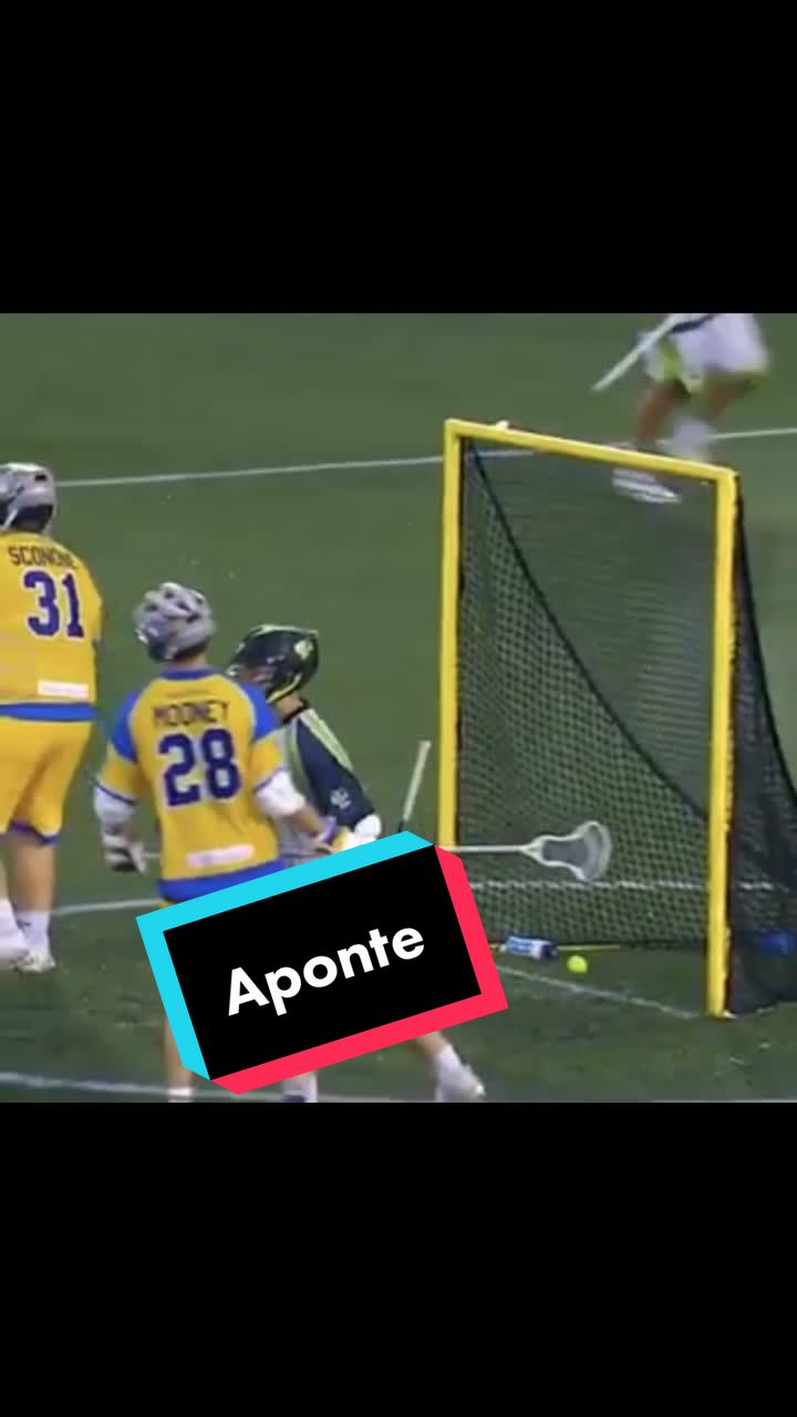 @nylizards