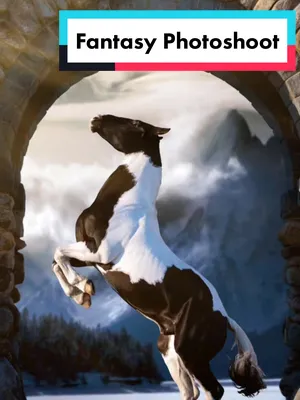 @Beth - Epona Media