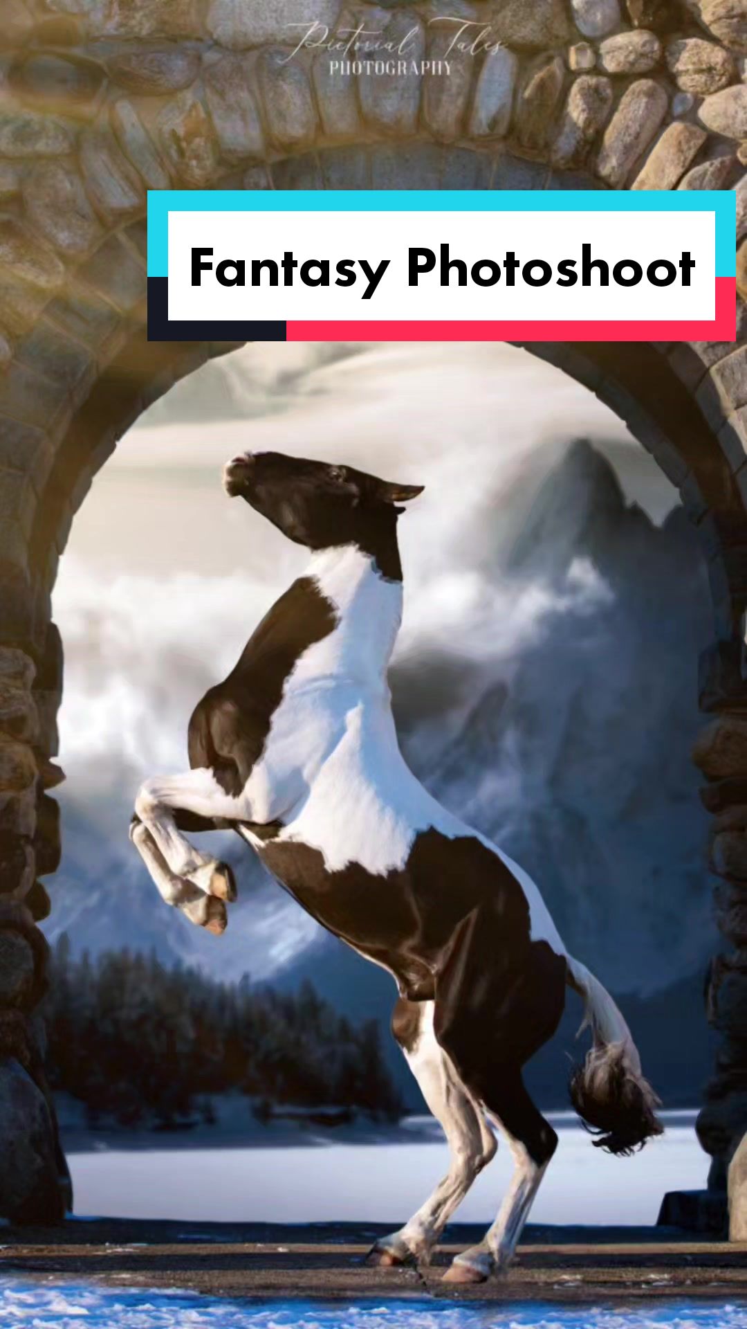 @Beth - Epona Media