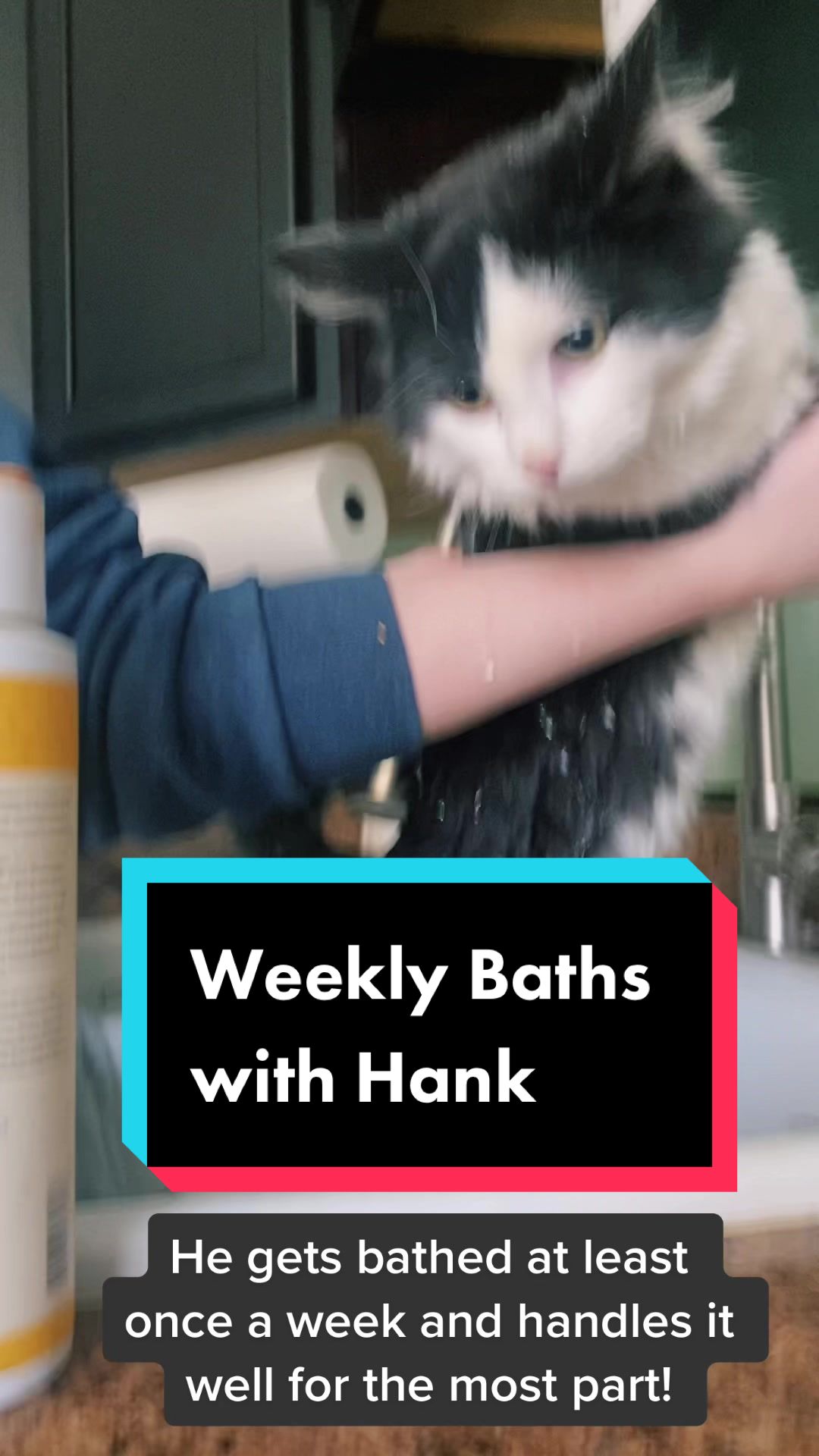 @Tilted_Hank