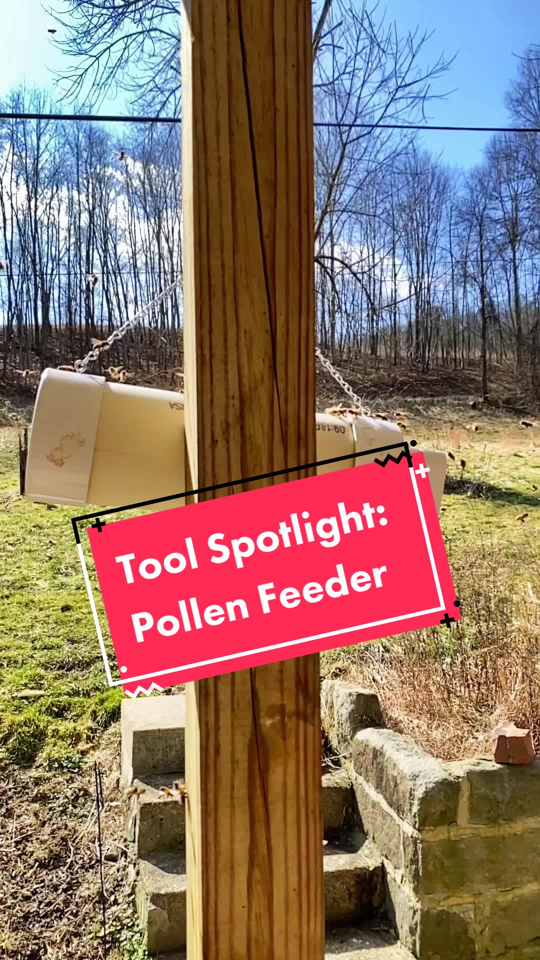 @Newbeeswv