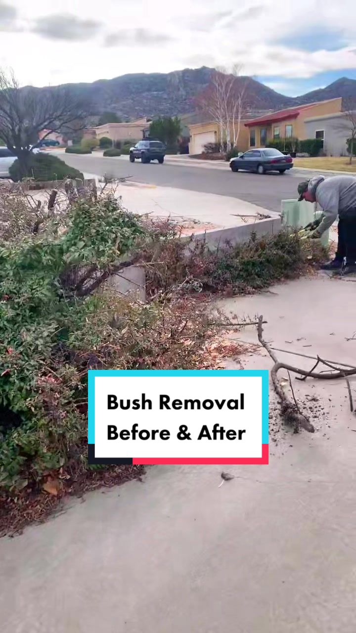 @Pros Landscaping
