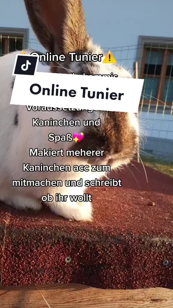 @Bitte KEIN likespam!!!💖