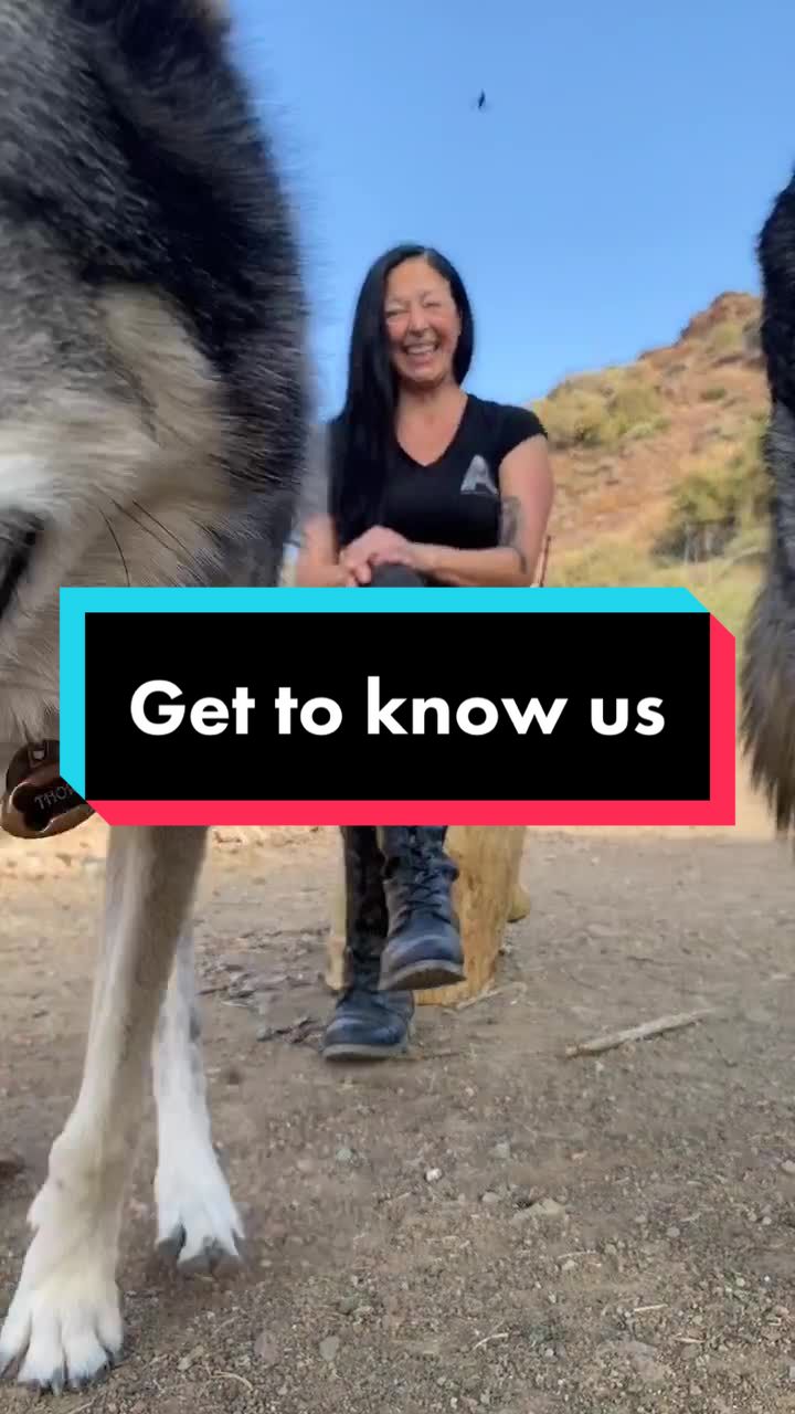 @ApexWolves