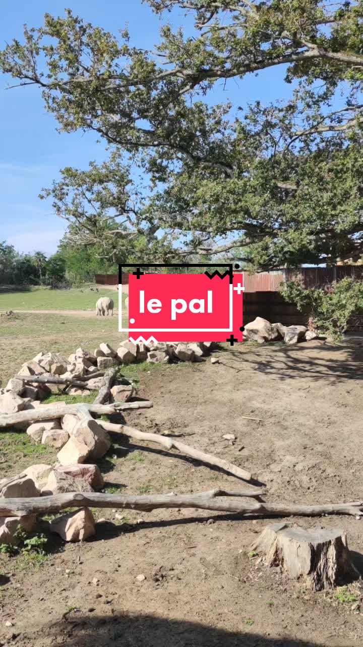 @Marjorie Andriau