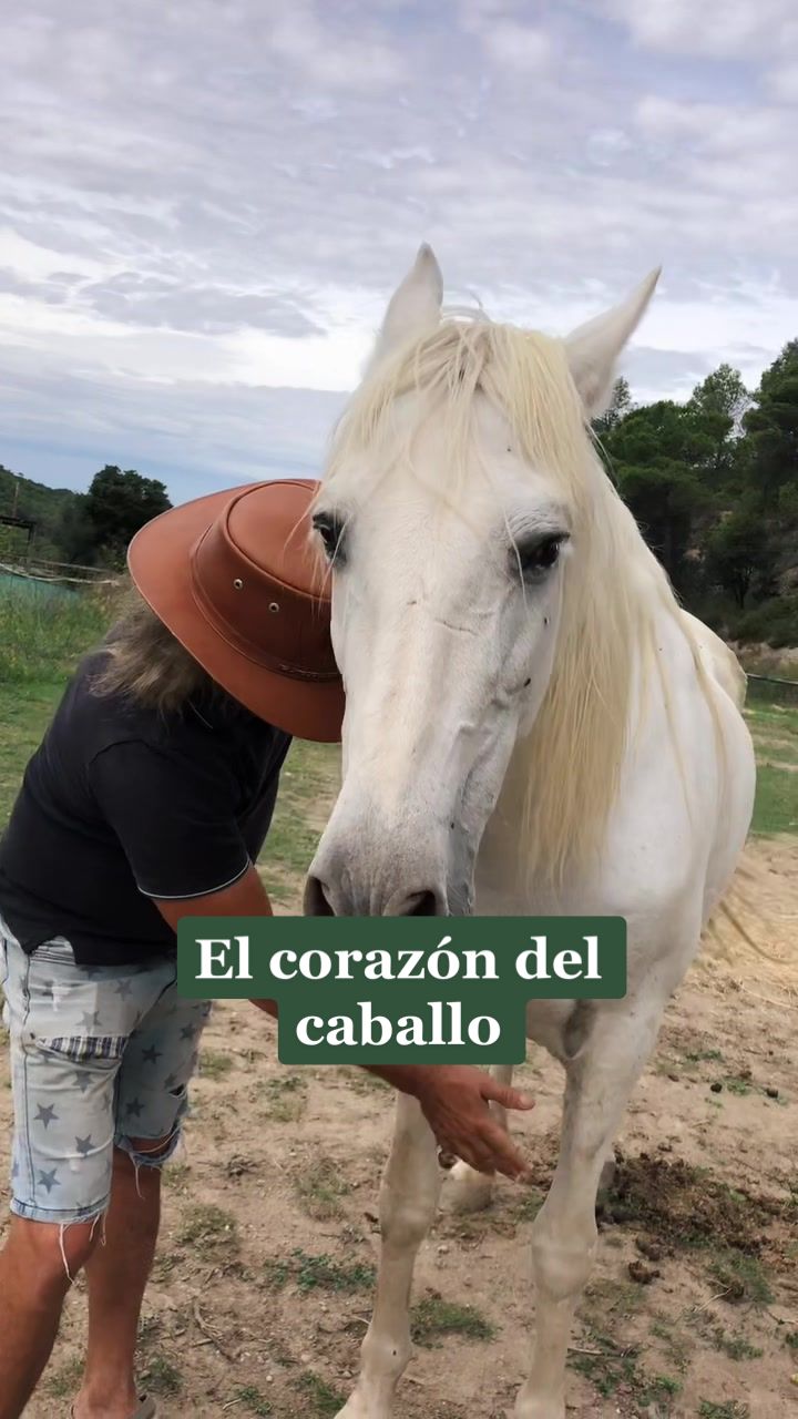 @Vivirenmanada