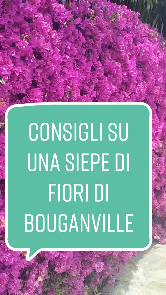@Il giardiniere felice