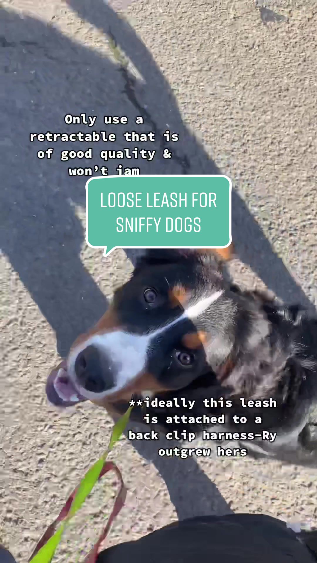 @Ry the Berner