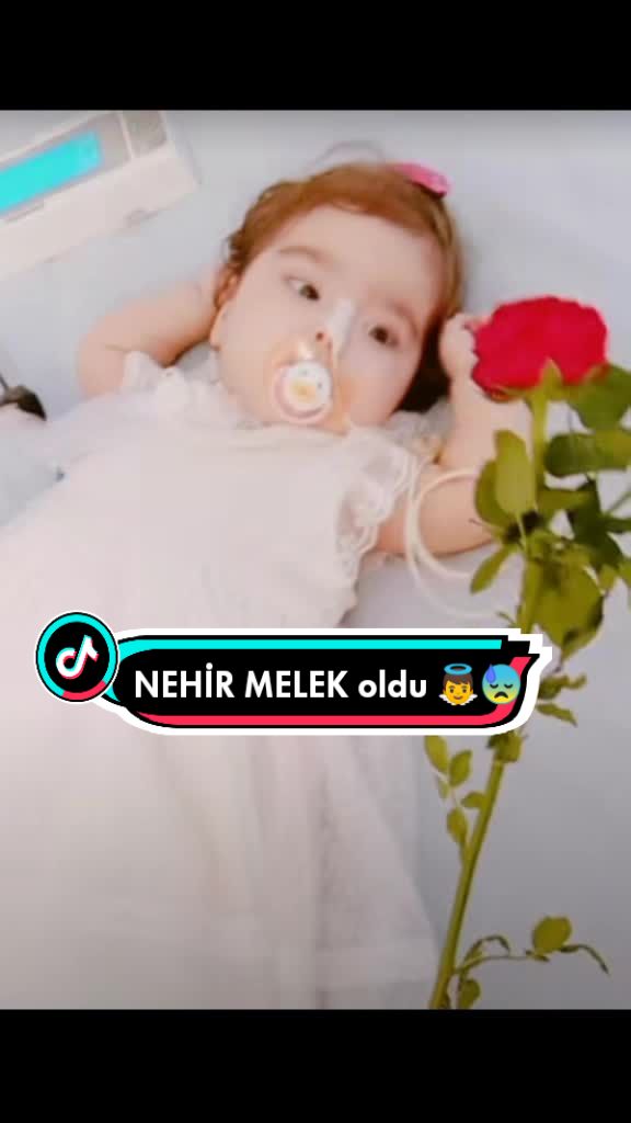 @🕋 ALLAH 🕋    🕋🕋🕋