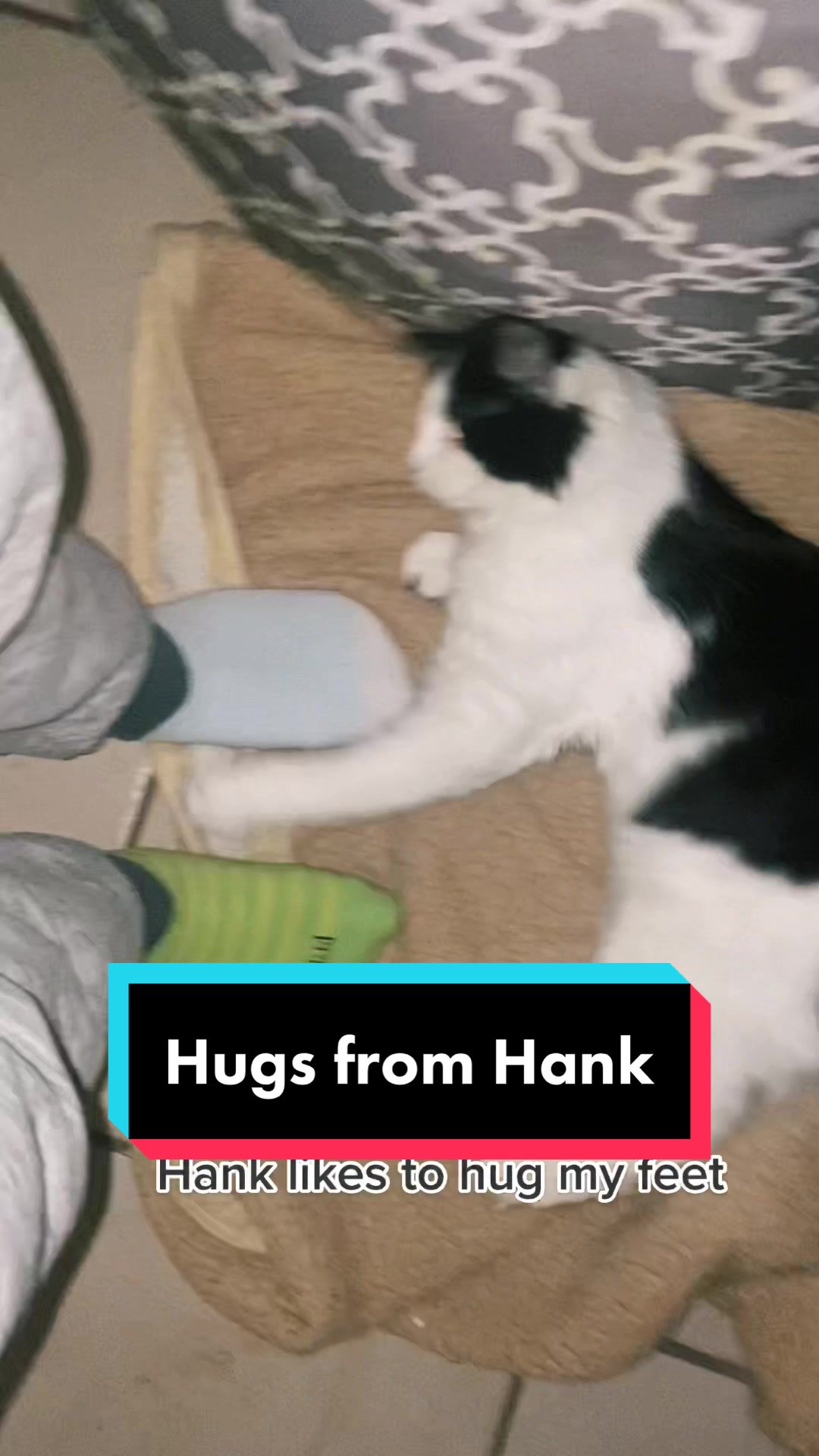 @Tilted_Hank